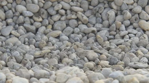 Heavy vehicle passing Stock Footage 70065585