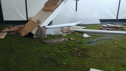 Heavy water damage inside vacant building with grass on carpet - 24fps 1080p Stock Footage 104120928