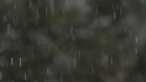 Heavy White Snow Fall Over Bokeh Green Forest Background - Static Stock Footage 232566966