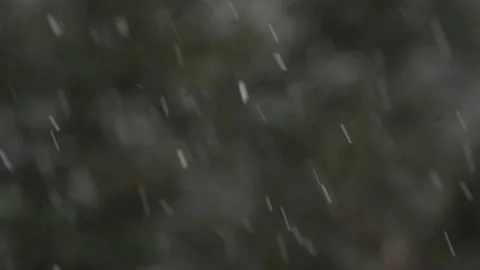 Heavy White Snow Fall Over Bokeh Green Forest Background Stock Footage 234261945