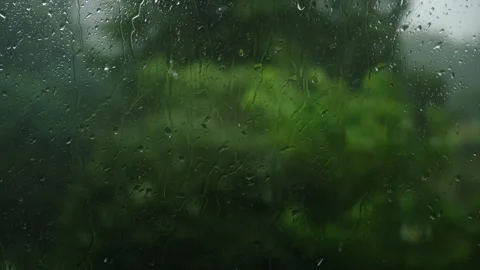 Heavy wind and rain outside window at summer time Stock Footage 335235041