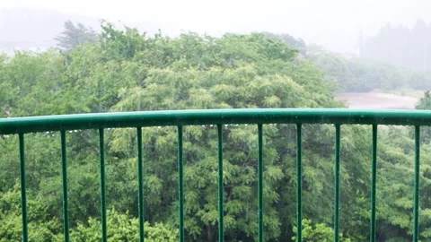 Heavy wind and rain seen from the terrace, trees are shaking due to the win.. Video stock 325643552