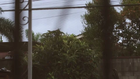 Heavy wind blowing backyard trees, electric wire, gloomy weather,4k, cinematic Stock Footage 250679237
