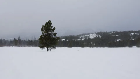 Heavy wind blowing through an open field near the foothills of mountains. Shot Stock Footage 331154942