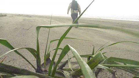 Heavy Winds at the Coast Stock Footage 10884814