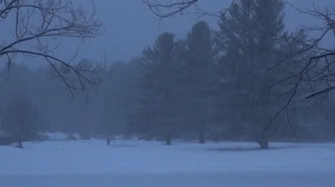 Heavy Winter Snow at Night Stock Footage 33263196