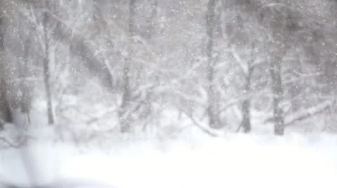 Heavy winter snow. Slow motion Stock Footage 11239744