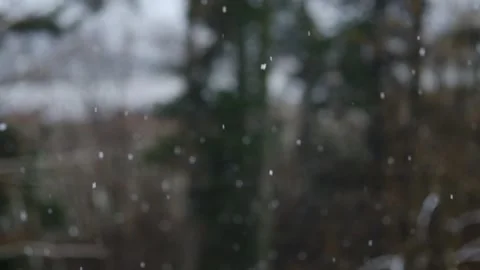 Heavy winter snowfall or blizzard in twilling on background forest Stock Footage 144737661