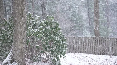 HeavyWinterSnow1 Video stock 328060237