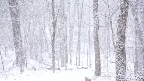 HeavyWinterSnow2 Video stock 328060216