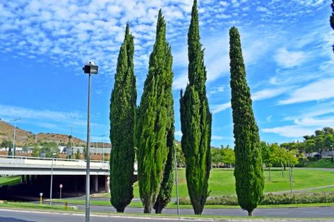 Hebron Valley Park, Barcelona district Stock Photos