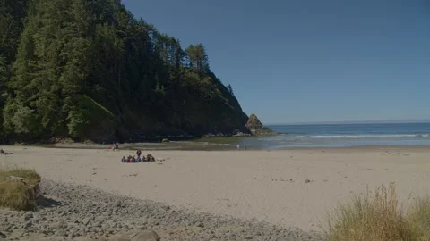 Heceta Head beach Stock Footage 262792913