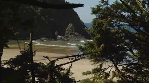 Heceta Head beach Stock Footage 262793211
