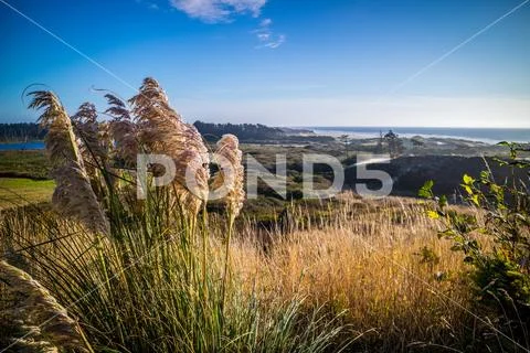 Heceta Head Lighthouse State Park Scenic Viewpoint in Florence, Oregon Stock Photos