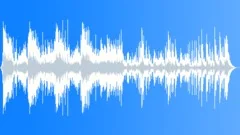 Hectic Action (30 sec) Stock Music