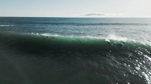 Hector's dolphins riding backlit wave, New Zealand, 4K, aerial Stock Footage 247117944