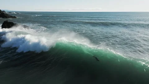 Hector's dolphins riding multiple backlit waves, New Zealand, 4K, aerial Stock Footage 247114169
