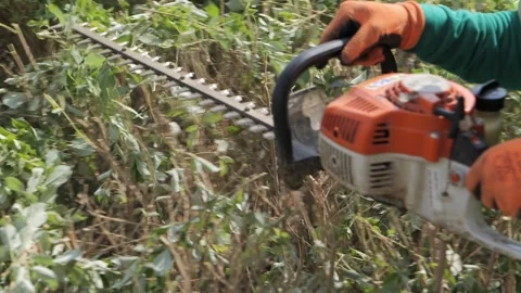 Hedge clippers in action Pruning shrubs Stock Footage 264976250