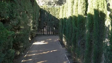 Hedge Labyrinth Stock Footage 85962383