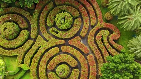 Hedge Maze Vídeo Stock 79540691