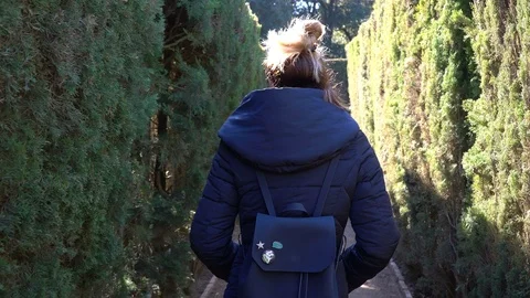 Hedge Maze Stock Footage 85957355