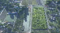 Hedge Maze View From Above HD Footage