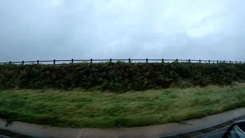 Hedge Slow Motion Stock Footage 162174336