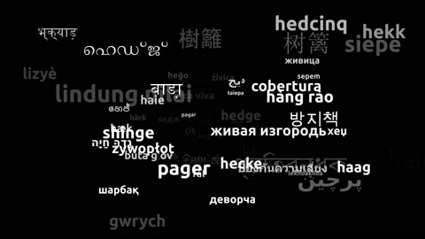 Hedge Translated in 62 Worldwide Languages Endless Looping 3d Zooming Wordclo Video stock 145203783