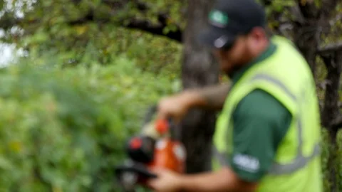 Hedge trimming with a commercial landscaper Stock Footage