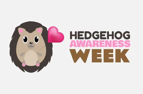 Hedgehog awareness week design vector doodle art Illustrazione stock