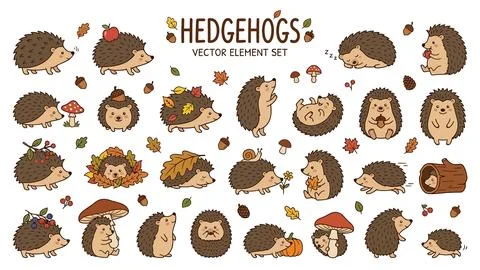 Hedgehog character vector element set with autumn foliage and mushrooms for.. Stock Illustration