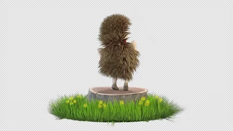 Hedgehog dancing a maraschino dance 库存影片 168810705