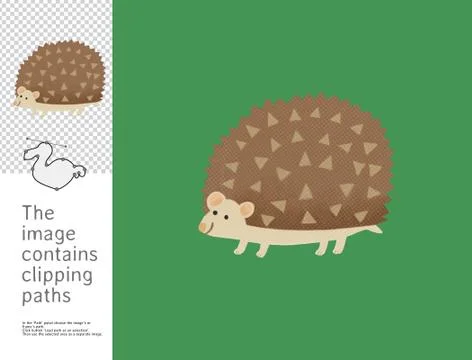 Hedgehog, Dodo collection Illustrazione stock