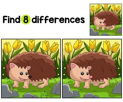 Hedgehog Farm Find The Differences Stock Illustration