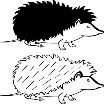 Hedgehog Stock Illustration