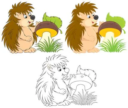 Hedgehog Stock Illustration