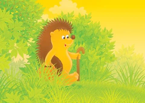 Hedgehog Stock Illustration