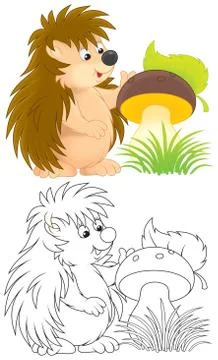 Hedgehog Stock Illustration