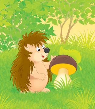 Hedgehog Stock Illustration