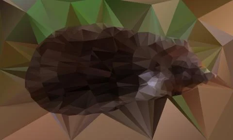 Hedgehog Stock Illustration
