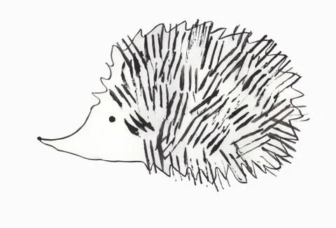 Hedgehog Stock Illustration