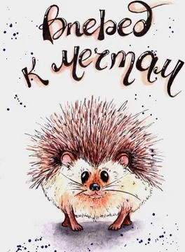 Hedgehog Stock Illustration