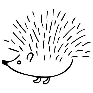 Hedgehog isolated on white background. Vector hand-drawn doodle illustration. Stock Illustration
