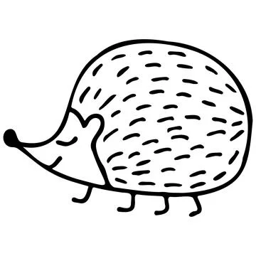 Hedgehog isolated on white background. Vector hand-drawn doodle illustration. Stock Illustration