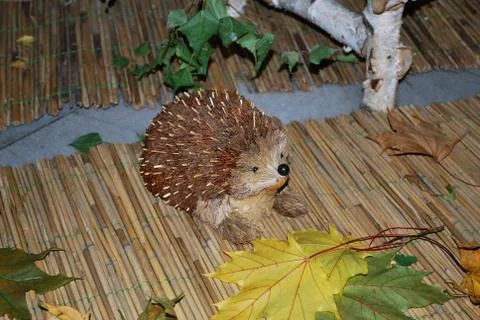 Hedgehog Foto stock