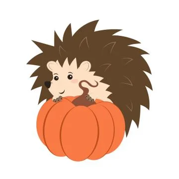 Hedgehog with pumpkin Stock Illustration