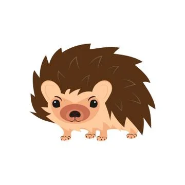 Hedgehog on white Stock Illustration