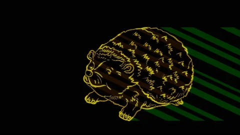 Hedgehogs Stock Footage 153481564