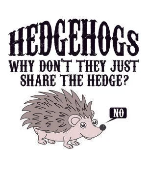 Hedgehogs Why Don't They Just Share The Hedge Stock Illustration