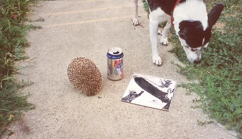 HedgeOnSide Foto stock